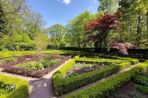 Ogr&oacute;d Botaniczny Uniwersytetu Warszawskiego