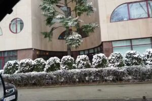 Olkuska 7 – Conference rooms