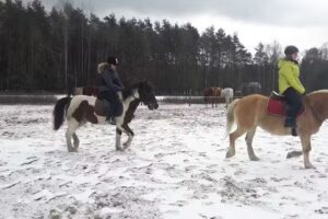 Ośrodek Jeździecki Ranczo Baranówka