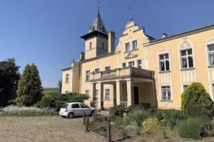 Pałac Artura Hilzheimer&rsquo;a