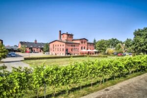 Pałac Mierzęcin Wellness & Wine Resort