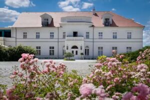 Pałac na Opieszynie