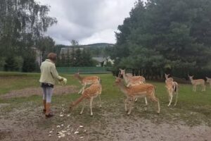 Park Rekreacyjny &bdquo;Na Tarasach&rdquo;