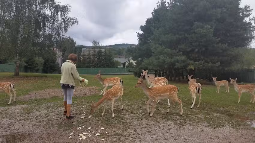 Park Rekreacyjny &bdquo;Na Tarasach&rdquo;