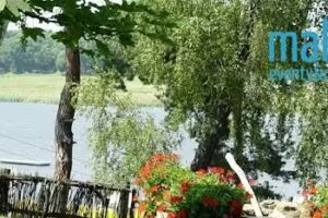 Pole Piknikowe Malta Imprezy