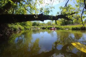&bdquo;Przystań Em&oacute;w&rdquo; Spływy kajakowe rzeką Świder. Sauna mobilna &ndash; &bdquo;Sauna Em&oacute;w&rdquo;. Imprezy integracyjne. Grill Bar.