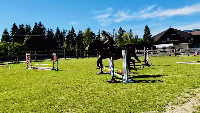 RANCZO ZWIERZYNIEC jazda konna, agroturystyka