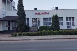 Sala Weselna Malinowa