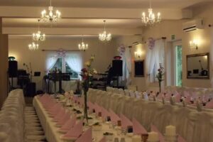 Sala Weselna WILCZYNEK