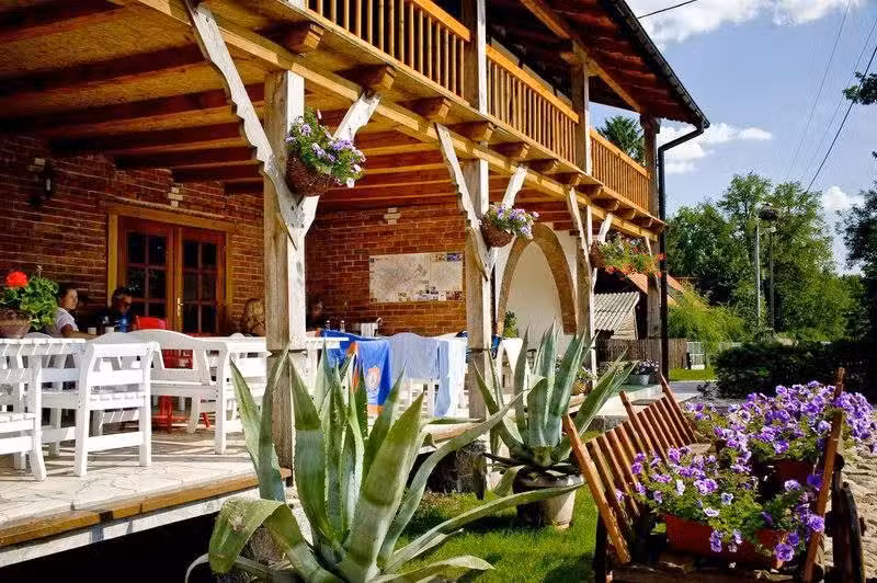 Sasek Mały. Pensjonat Rodzinny Mazury. Jazdy Konne.