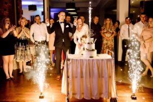 Senetra fotografia i filmowanie