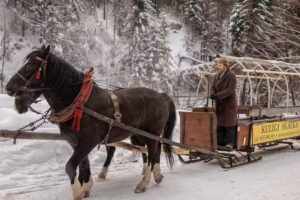 Skałka – Kuligi w Wiśle | Kulig Wisła