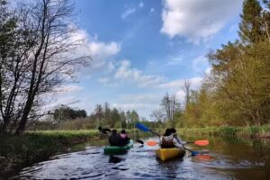 Spływy kajakowe Bugiem „Krokodylek”