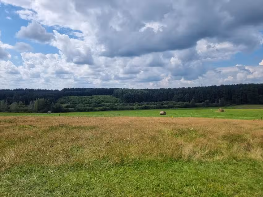 Stadnina koni Kojrys