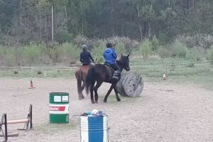 Stajnia Jamajka Klub