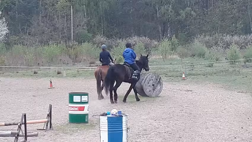 Stajnia Jamajka Klub