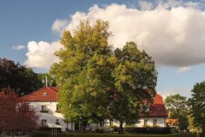 Stary Młyn Strzeszyn &ndash; Soft All Inclusive