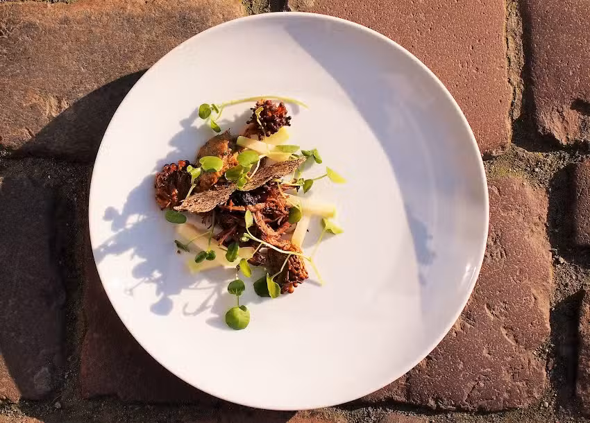 Studio Tw&oacute;j Kucharz