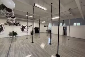 Szkoła Akrobatyki i Tańca Czarna Pantera Bielsko-Biała