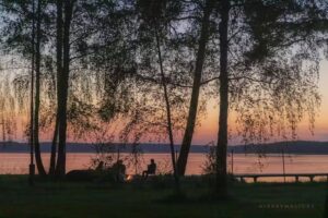 Wiktoria Kr&oacute;l Sp. z o.o.