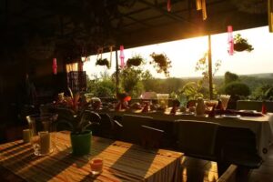 Wiszące Ogrody nad Narwią