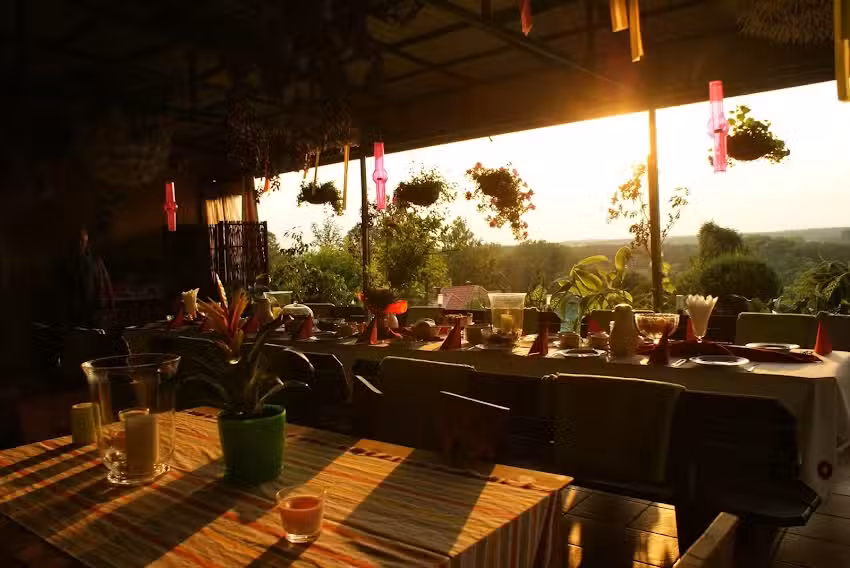 Wiszące Ogrody nad Narwią