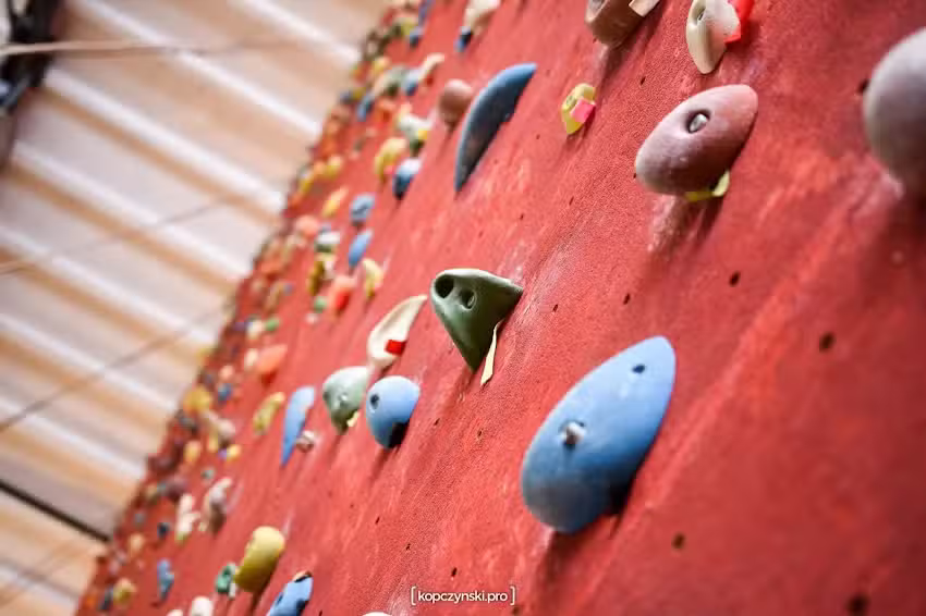 WSPINALNIA ELBLĄG sp. z o.o.