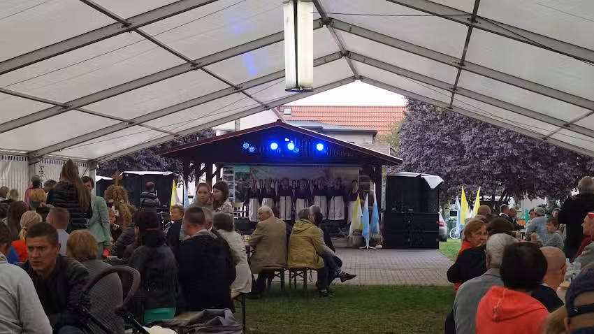 Zesp&oacute;ł Ligockie Wrzosy z Ligoty Pr&oacute;szkowskiej